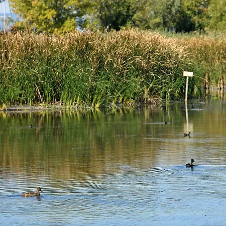 Szemesbay